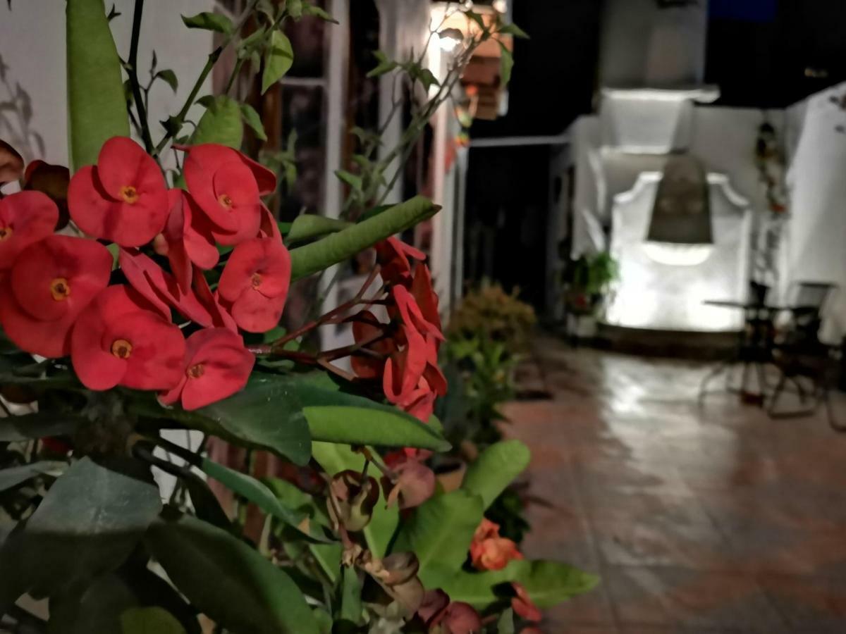 Auberge de jeunesse La Casa Del Abuelo à San Miguel de Allende Extérieur photo